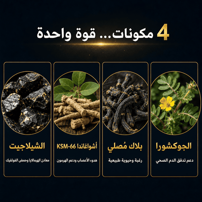حلوى شلاجيت الهيمالايا